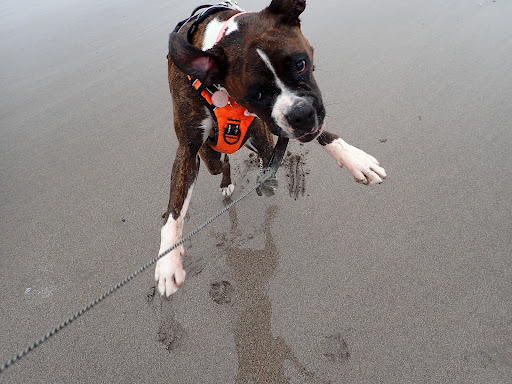 Photo of Kernow Kebabs - Penhale, Helston TR12 7LJ