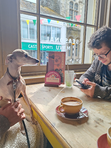 Photo of Palacio Lounge - The Moor, Falmouth TR11 3QA