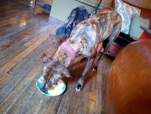 Photo of Palacio Lounge - The Moor, Falmouth TR11 3QA