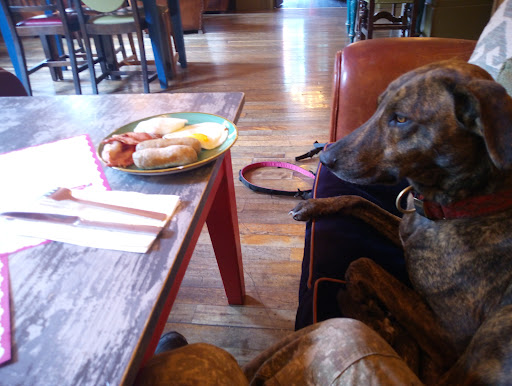 Photo of Palacio Lounge - The Moor, Falmouth TR11 3QA