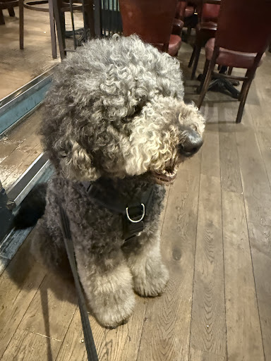 Photo of Bill's Farnham Restaurant - 6-7 Castle St, Farnham GU9 7HR