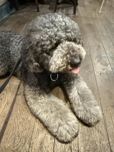 Photo of Bill's Farnham Restaurant - 6-7 Castle St, Farnham GU9 7HR