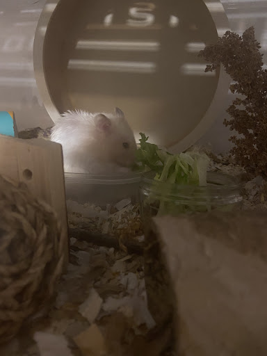 Photo of Istanbul Fish & Chips & Kebab - 72 High St, Sandhurst GU47 8ED