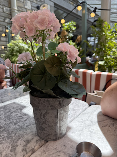 Photo of Bill's Clarks Village Restaurant - Unit 37B Clarks Village, Street BA16 0BB