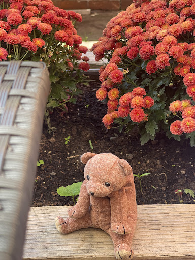 Photo of Hundred Monkeys Cafe - 52 High St, Glastonbury BA6 9DY