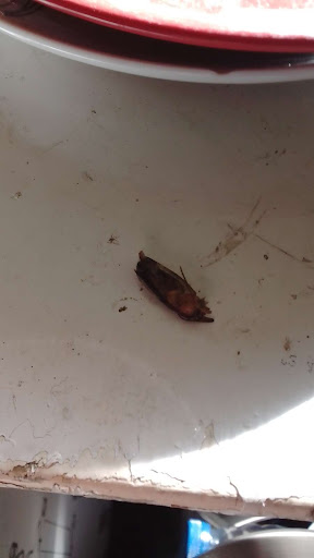 Photo of Omars - 107 Ravenscliffe Ave, Bradford BD10 0JJ