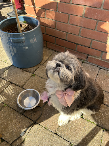 Photo of Bill's Braintree Restaurant - Charter Way, Braintree CM77 8YH