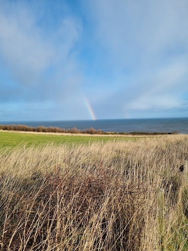 Photo of The Raby Arms - Village Pub and Kitchen - Front St, Hartlepool TS27 3AJ
