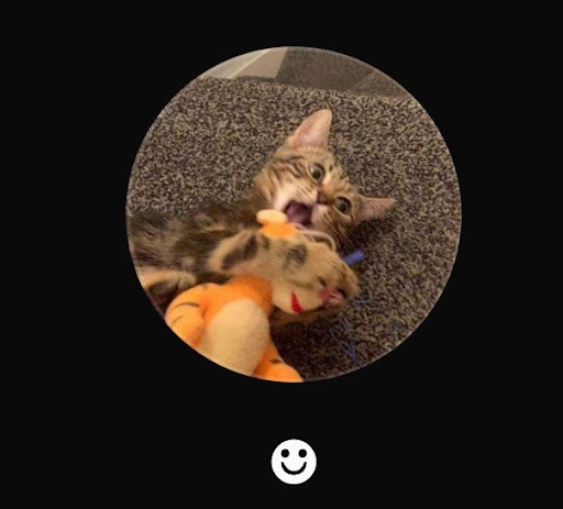 Photo of Troy Kebab House - 43 High St, Crawley RH10 1BQ