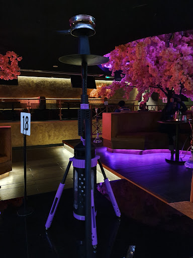 Photo of Pasha Vibes - 20 Edderthorpe St, Bradford BD3 9RA