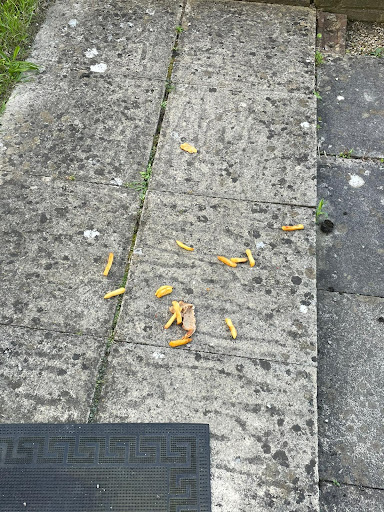 Photo of Istanbul Grill - 3 Gossops Parade, Crawley RH11 8HH