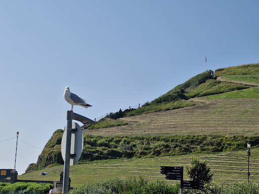Photo of The Admiral Collingwood - JD Wetherspoon - Wilder Rd, Ilfracombe EX34 9AP