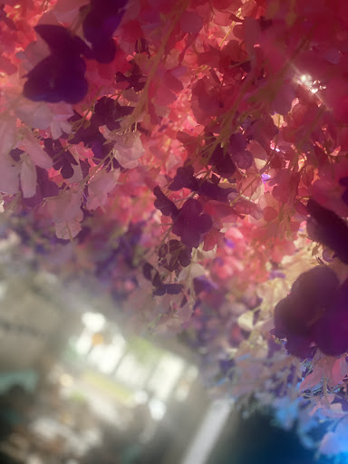 Photo of Irmak BBQ - 220 High St N, Dunstable LU6 1AU