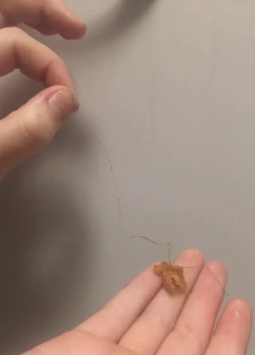 Photo of Dixy Chicken - 45 New Briggate, Leeds LS2 8JD