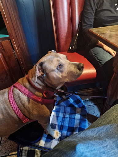 Photo of The Royal William IV - Pub & Kitchen - 1 Brayford Wharf N, Lincoln LN1 1YX