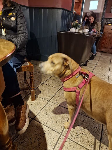 Photo of The Royal William IV - Pub & Kitchen - 1 Brayford Wharf N, Lincoln LN1 1YX