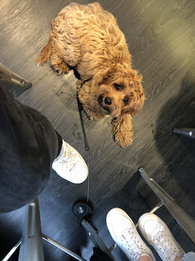 Photo of The Cedar Coffee Shop - 28 West St, Marlow SL7 2NB