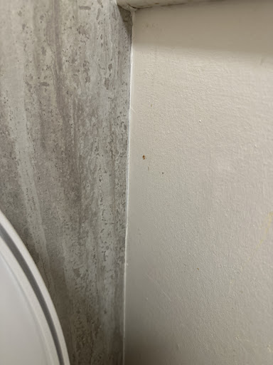 Photo of The Bluebell Middlesbrough - Acklam Rd, Middlesbrough TS5 7HL