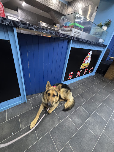 Photo of PALESTINIAN HOUSE - 63 Elmbank St, Glasgow G2 4PQ