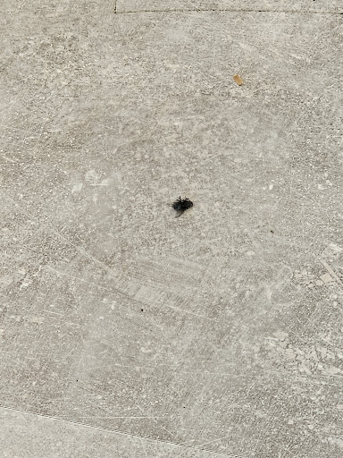 Photo of Chaiiwala - 35 Milkstone Rd, Rochdale OL11 1EB