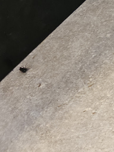 Photo of Chaiiwala - 35 Milkstone Rd, Rochdale OL11 1EB