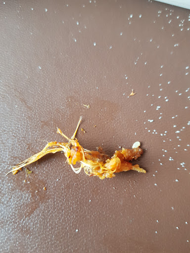 Photo of ChunkyChicken - 9a Milkstone Rd, Rochdale OL11 1ED