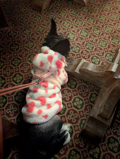 Photo of Shiremoor House Farm - Middle Engine Ln, North Shields NE29 8DZ