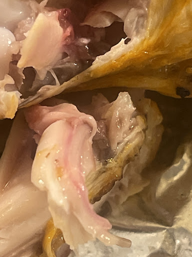 Photo of Royal Peri - 30 Cardiff Rd, Newport NP20 2ED