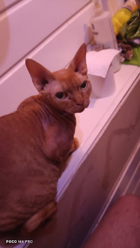 Photo of City Pizza - 7 Dugdale St, Nuneaton CV11 5QJ