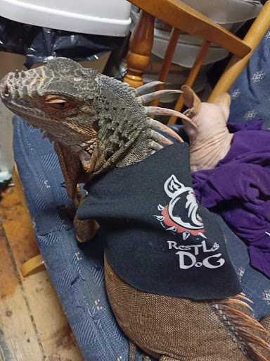 Photo of City Pizza - 7 Dugdale St, Nuneaton CV11 5QJ