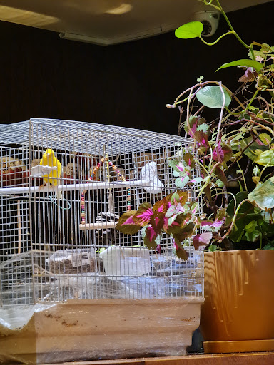 Photo of Persian Cottage - 2 Benson St, Middlesbrough TS5 6JQ