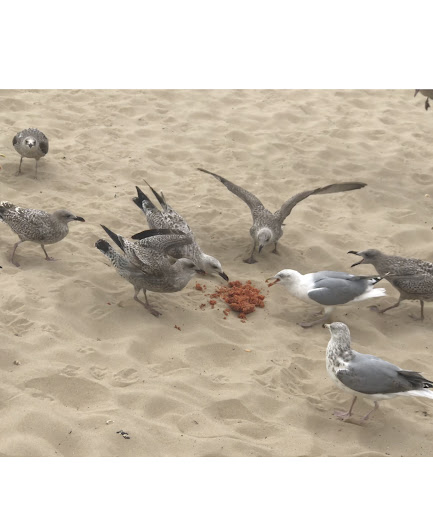 Photo of Roosters Piri Piri - Poole - 308 Ashley Rd, Poole BH14 9DF