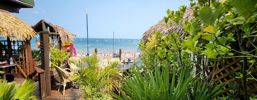 Photo of The Hungry Shark - 9 Shore Rd, Swanage BH19 1LA