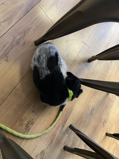 Photo of Pear Kitchen - 15 High St, Cowbridge CF71 7AD