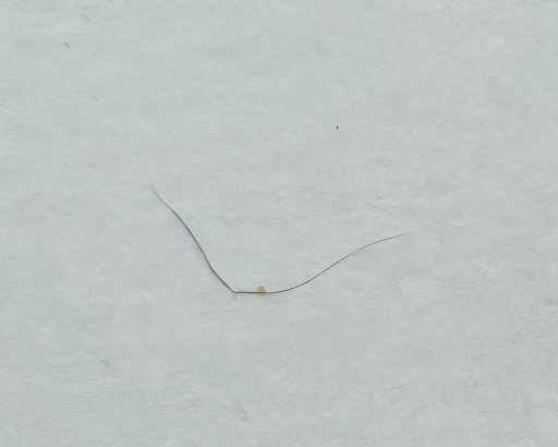 Photo of Mangal Express | Canvey Island - 57 Shannon Way, Canvey Island SS8 0PE