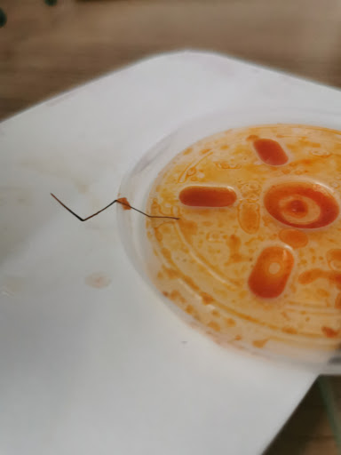 Photo of New Capital Burger Bar - 100 Whitmore Way, Basildon SS14 3JT