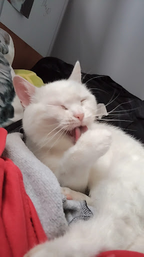 Photo of Zer shish - 17 Grover Walk, Corringham, Stanford-le-Hope SS17 7LP