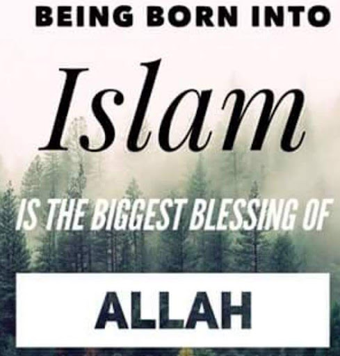 Photo of Express Kebab House - 260 Plumstead High St, London SE18 1JN