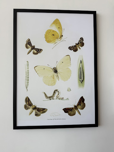 Photo of Aster & Thyme, Newcastle Airport - Newcastle International Airport, Woolsington, Newcastle upon Tyne NE13 8BZ