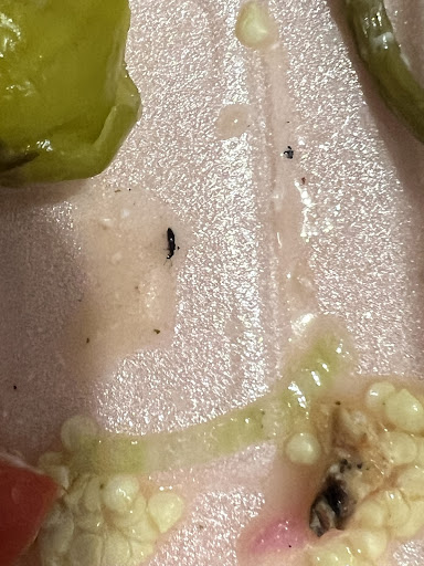 Photo of Ramzey’s Grill limited - 6 Skinner St, Gillingham ME7 1HD