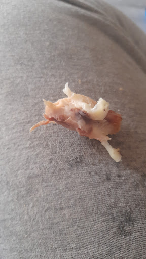 Photo of Charcoal Grill - 9 West St, Sittingbourne ME10 1AA