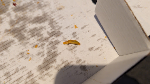 Photo of Shish Cafe - 173-175 Lees Rd, Oldham OL4 1JP