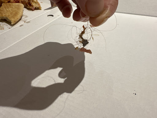 Photo of LA MAMMA PIZZERIA & KEBAB - 1A Peaks Ln, New Waltham, Grimsby DN36 4QL