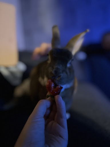 Photo of A B C - 332 Woodchurch Rd, Birkenhead CH42 8PQ