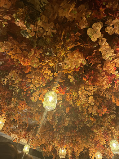 Photo of Shimlas Leeds - 293 Roundhay Rd, Harehills, Leeds LS8 4HS