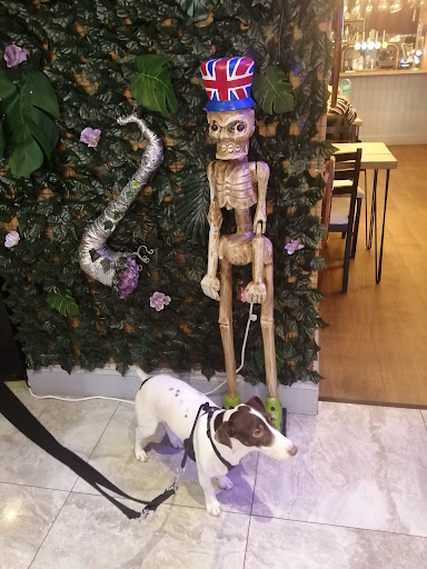 Photo of Flanders Seaham | Deals on Wheels - 21 North Terrace, Seaham SR7 7EU