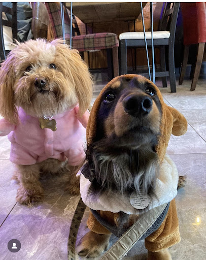 Photo of Flanders Seaham | Deals on Wheels - 21 North Terrace, Seaham SR7 7EU