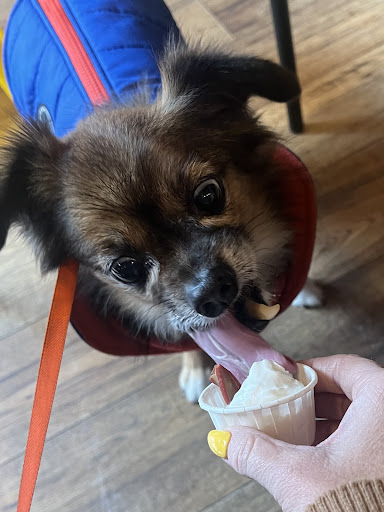 Photo of Sababa - 21 Clifftown Rd, Southend-on-Sea SS1 1AB