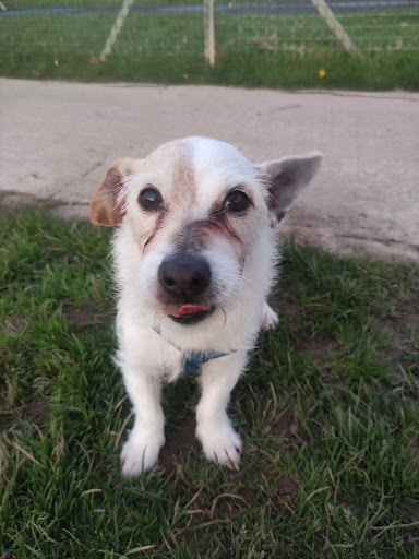 Photo of Worthing Gyros - 22 New Broadway, West Worthing, Worthing BN11 4HP