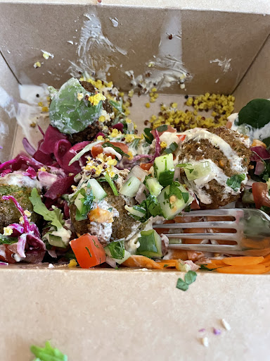 Photo of Plantkind - 4 Milk St, Shrewsbury SY1 1SZ